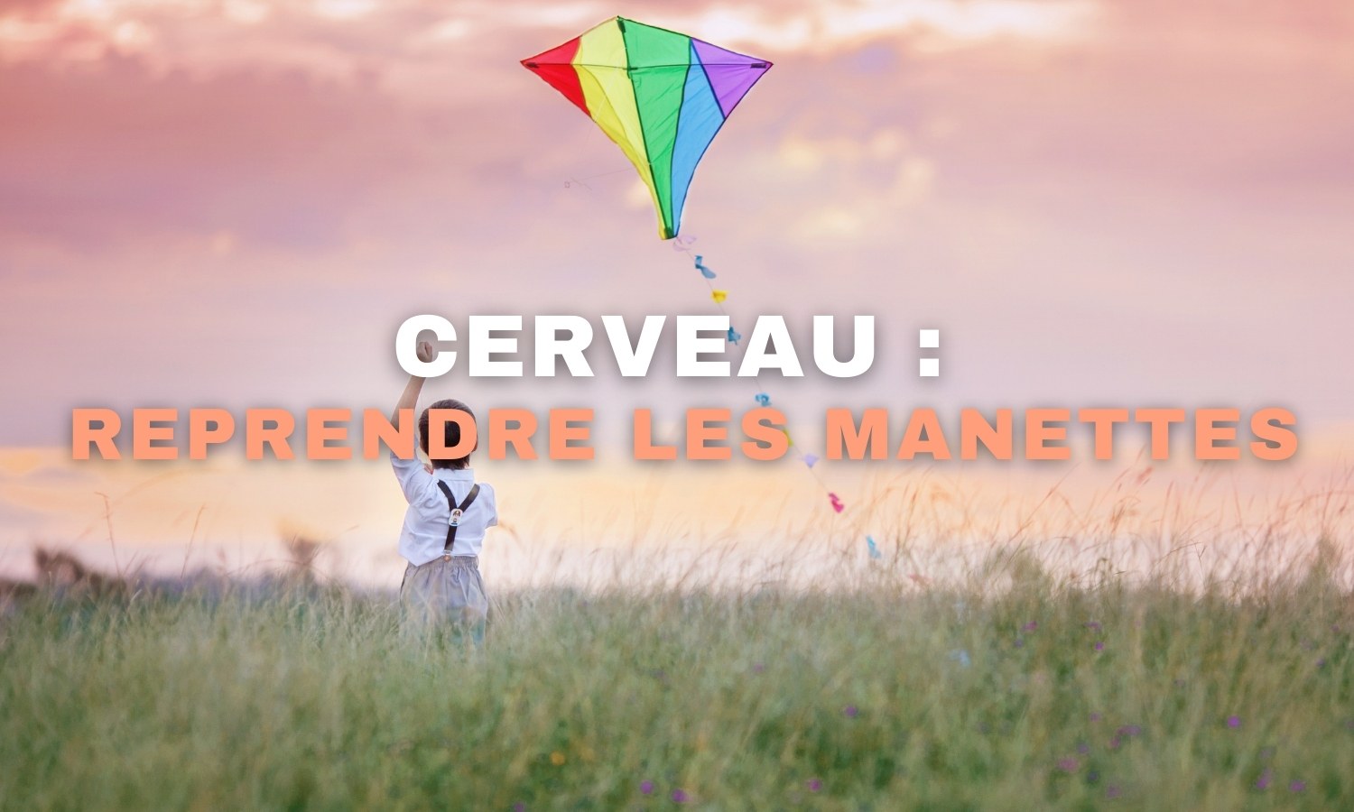 Cerveau : reprendre les manettes