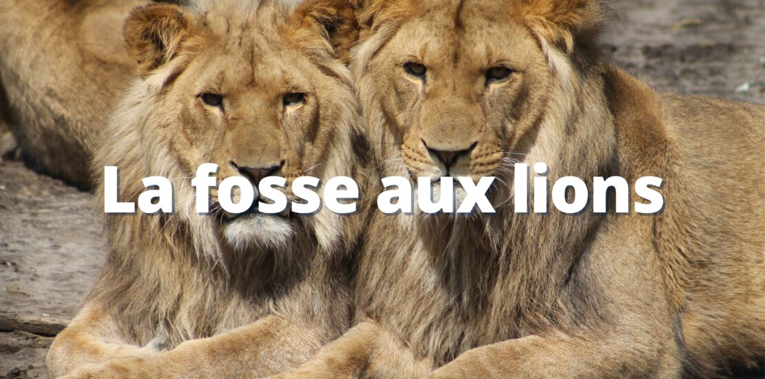 La fosse aux lions