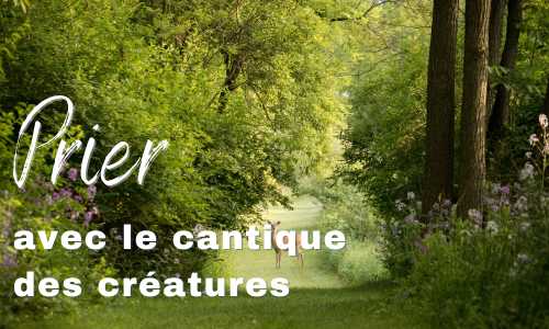 Prier avec le Cantique des Créatures
