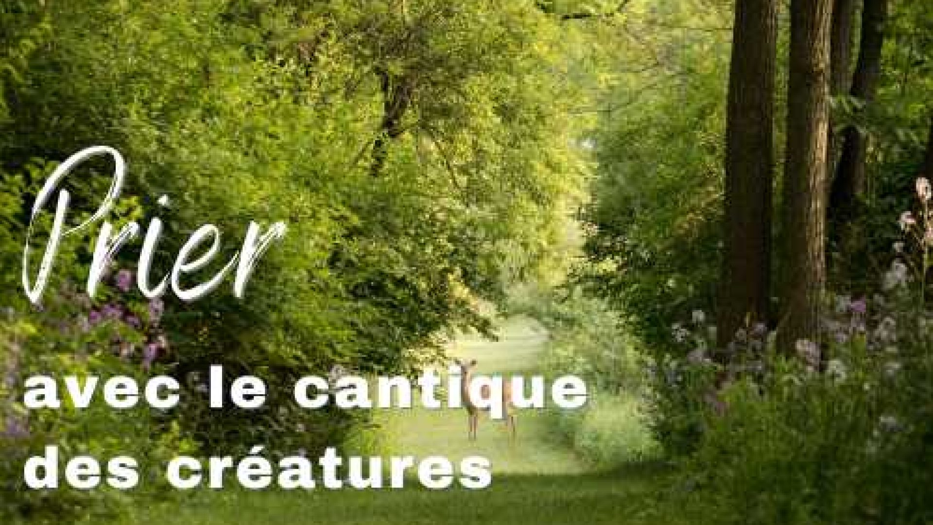 Prier le cantique des créatures